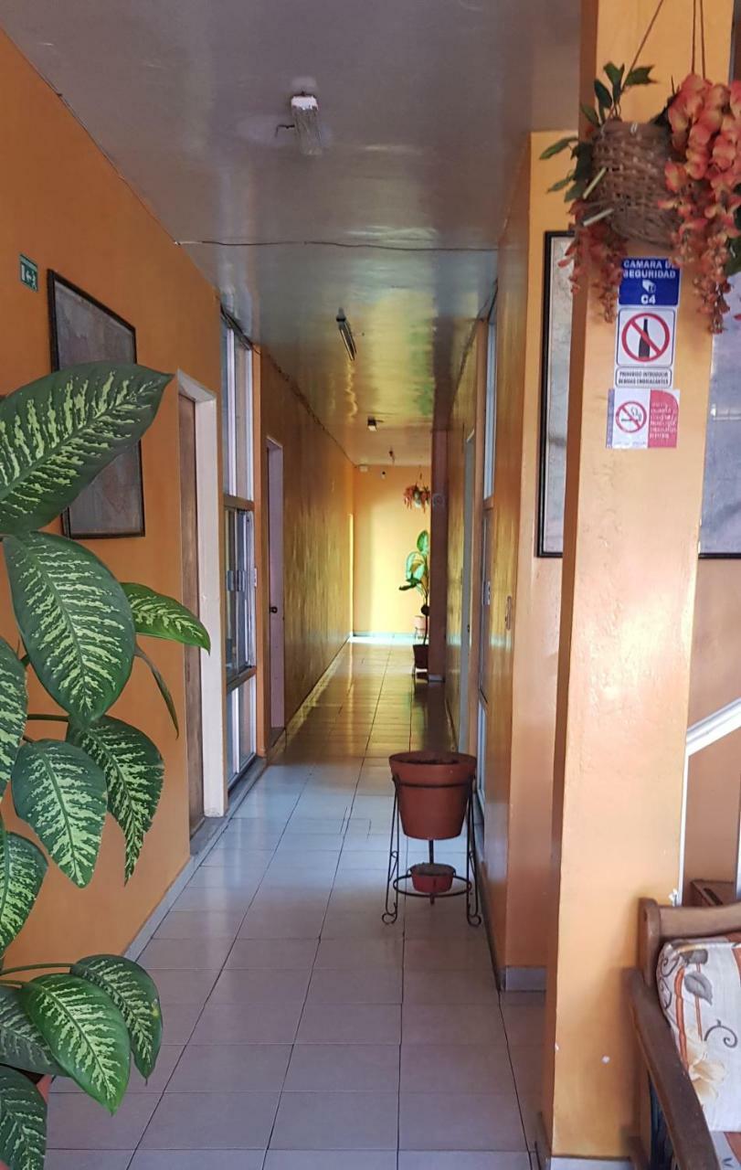 Hotel Don Jesus 阿瓜斯卡达特斯 外观 照片